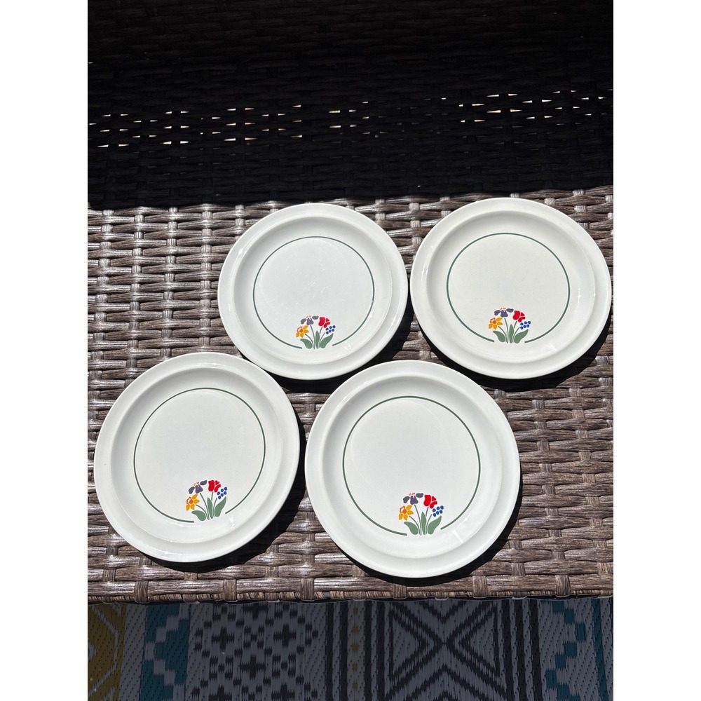 Anchor Hocking Greenhouse Stoneware Plates Set of 4 Nina Floral Japan C8700/42